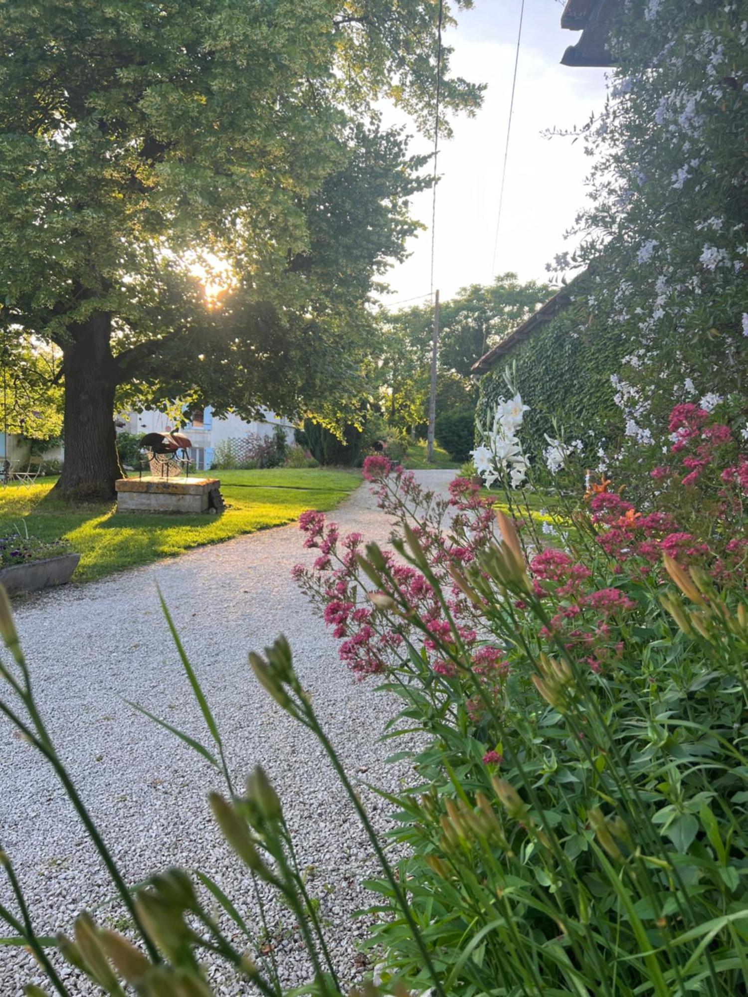 La Colline De Tilleul - Les Deux Puits - Cosy Cottage With Swimming Pool Near Aubeterre Saint-Romain  Zewnętrze zdjęcie